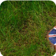 art work sample for art portfolio workshop