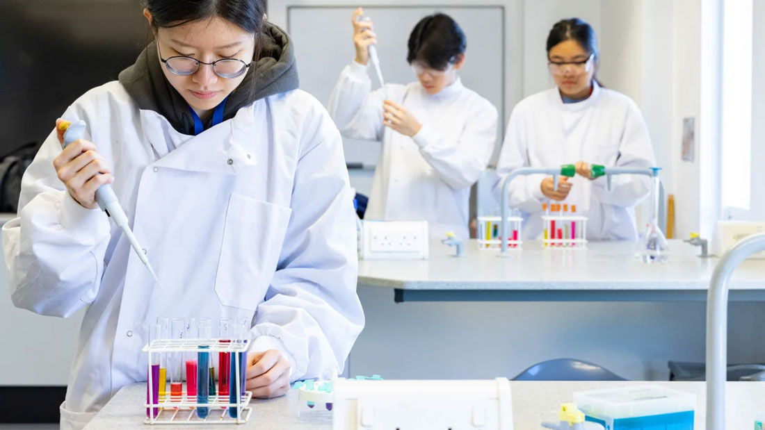 INTO Newton A-levels Programme